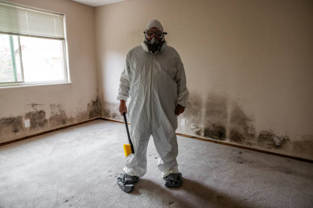 Best Professional Mold Removal  in Itta Bena, MS